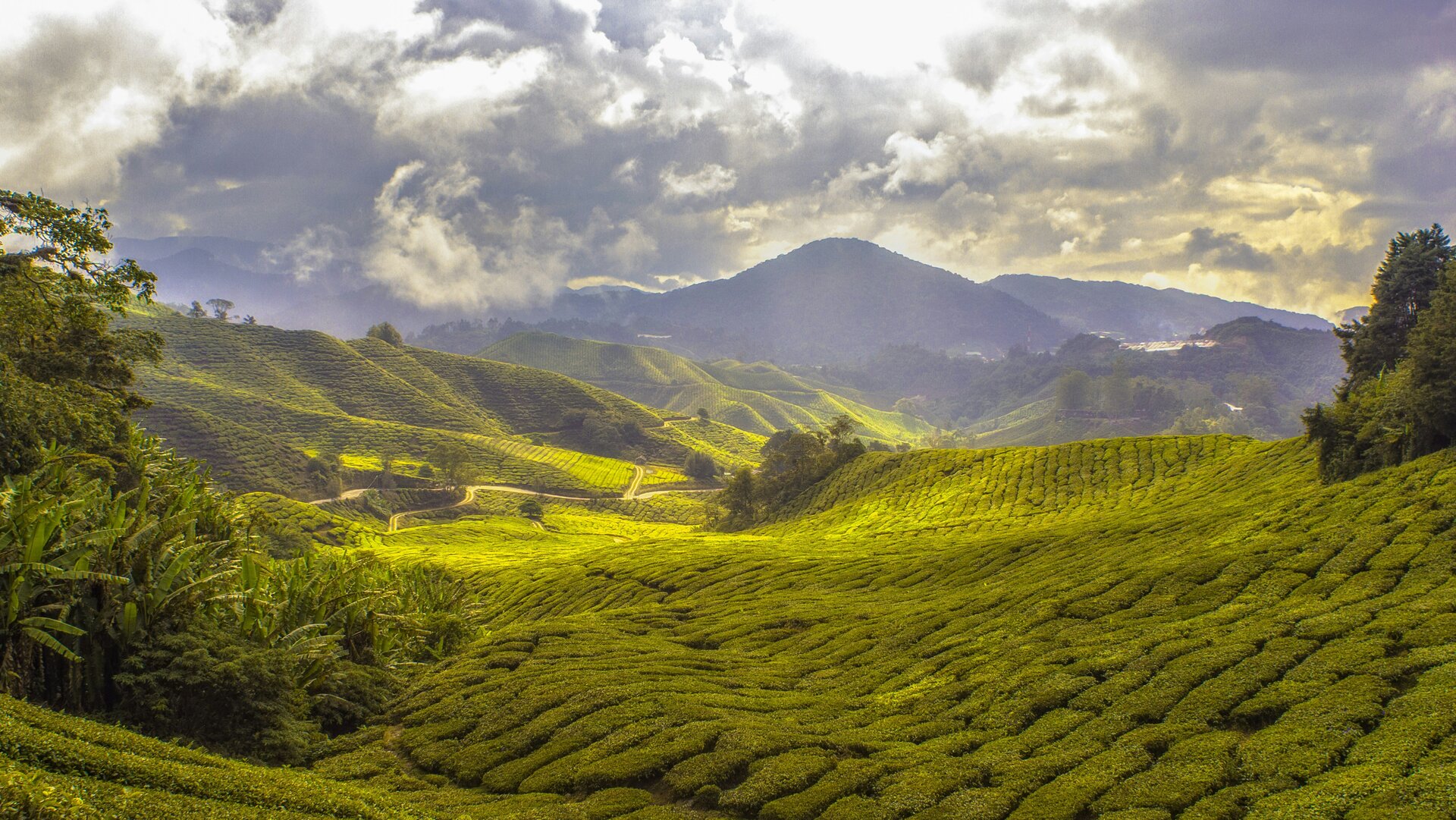 Symbolbild Asien: Sonniger Berg mit viel Graß.